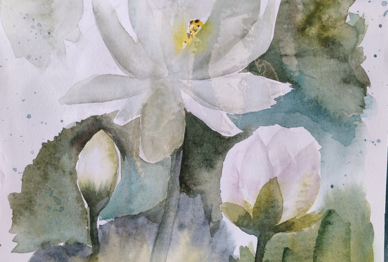 My client proposal (Lily's lilies) - student project