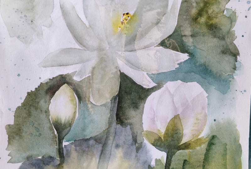 My client proposal (Lily's lilies)
