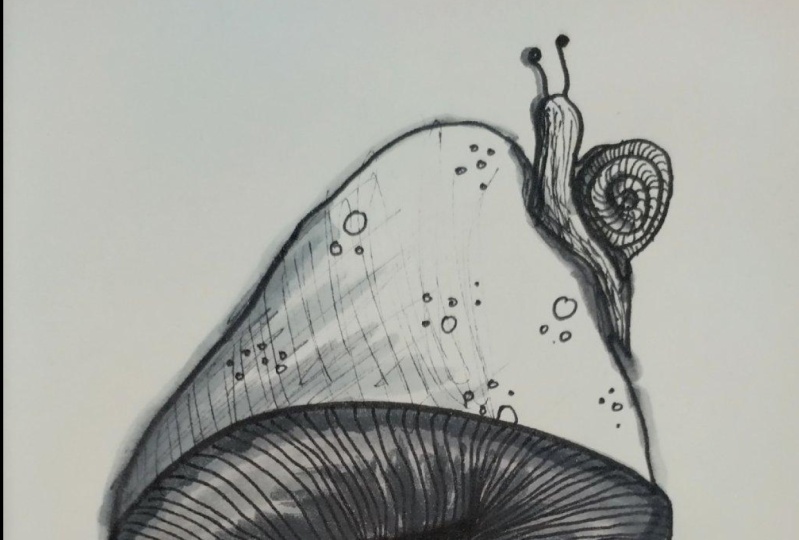 Pen and Ink Drawing Challenge
