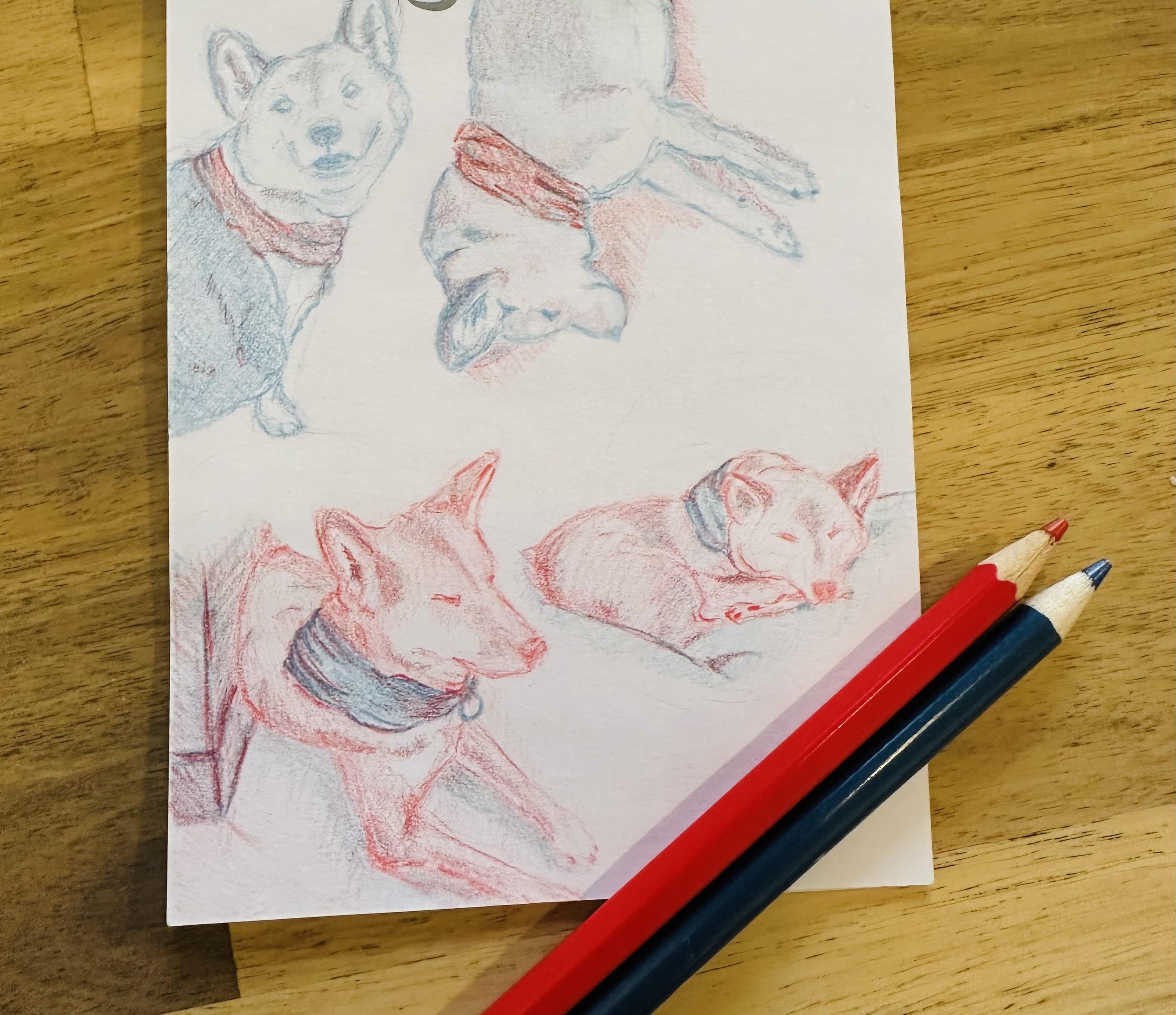 more-projects-from-class-img