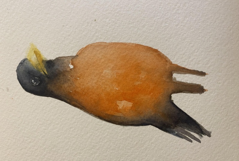 Loose painting practice