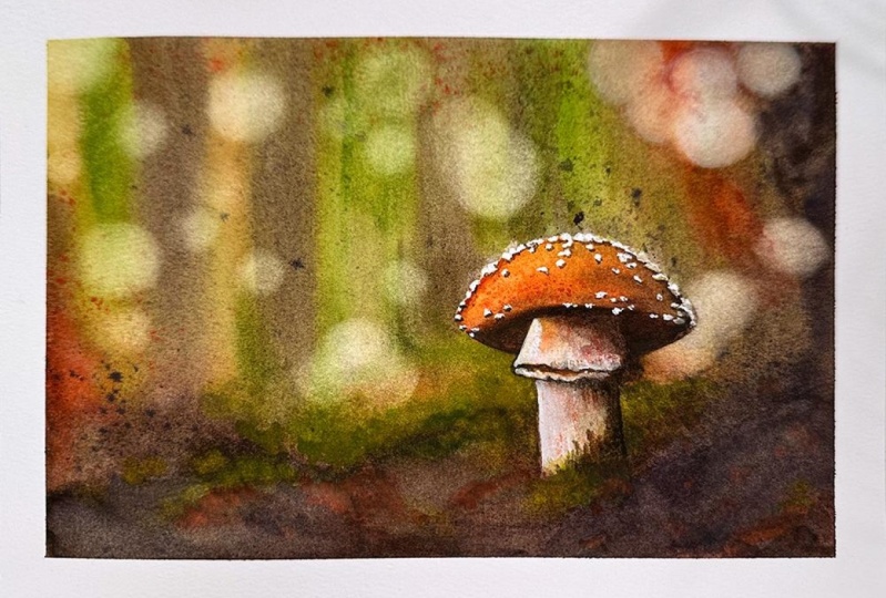 My mushroom study