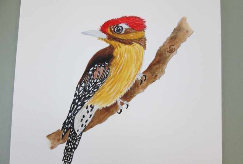 Watercolor Woodpecker
