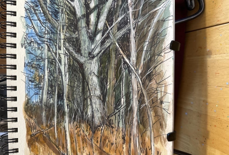 Trees in ink