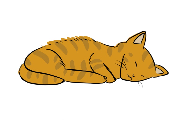 Sleeping Kitty Illustration