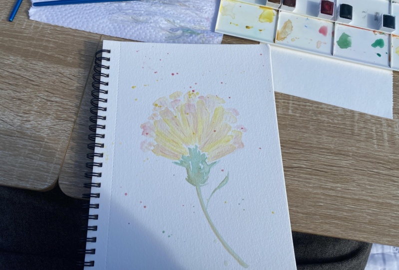 Finished hibiscus