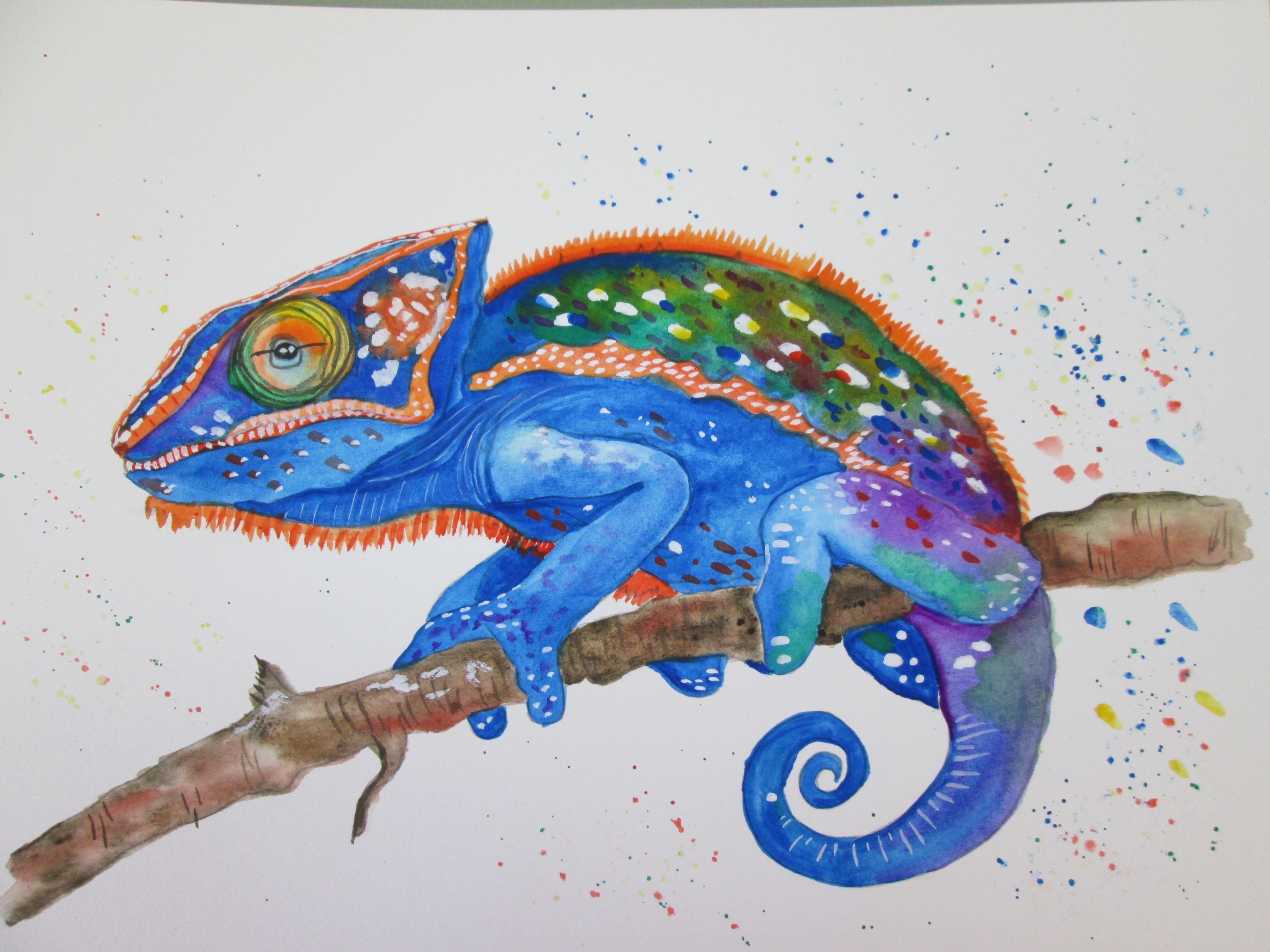 Colorful Chameleon - student project