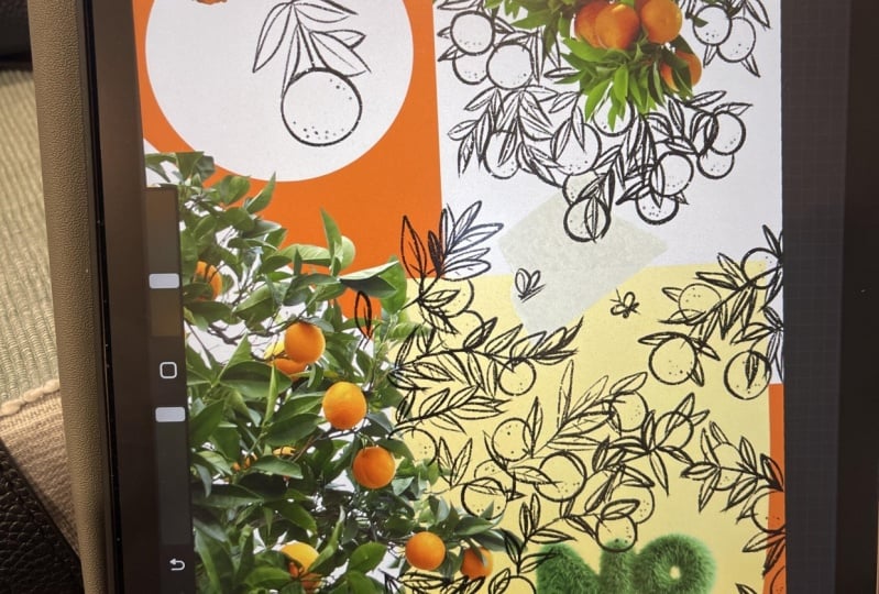 Getting the hang of oranges