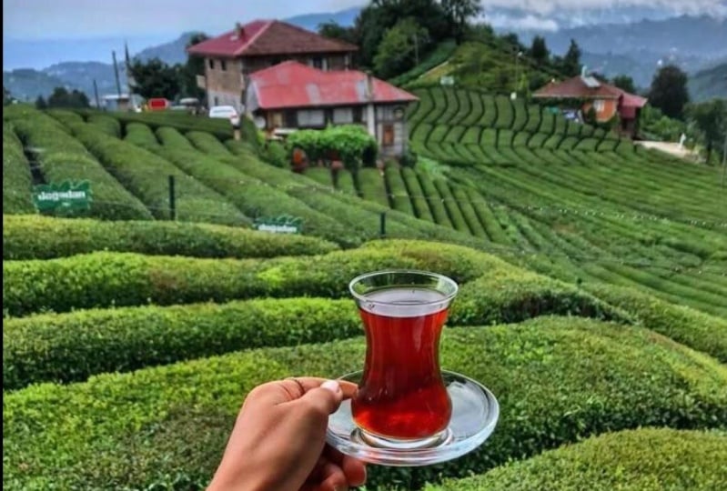 Un voyage au Sri Lanka
