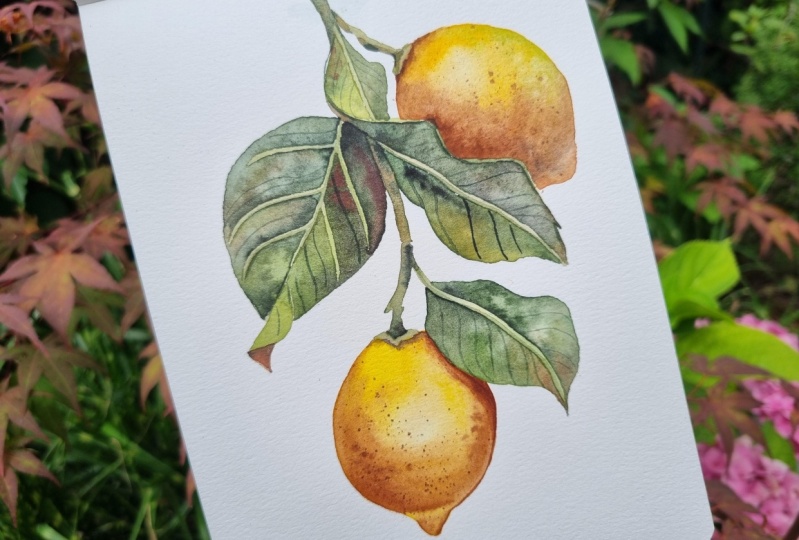 Vintage Lemons
