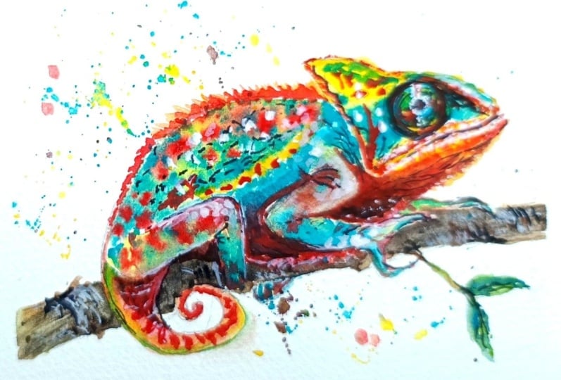 Rainbow Chameleon