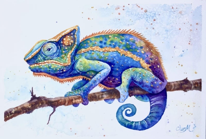 Colorful Chameleon