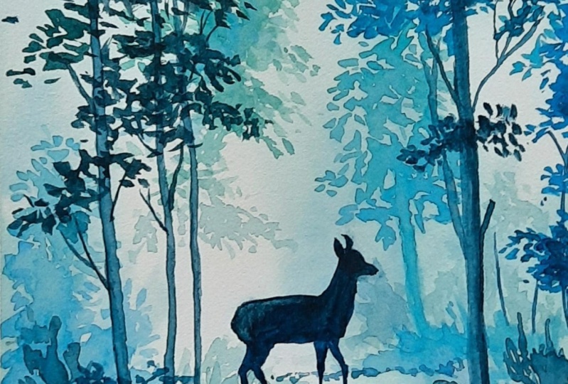 Blue Forest