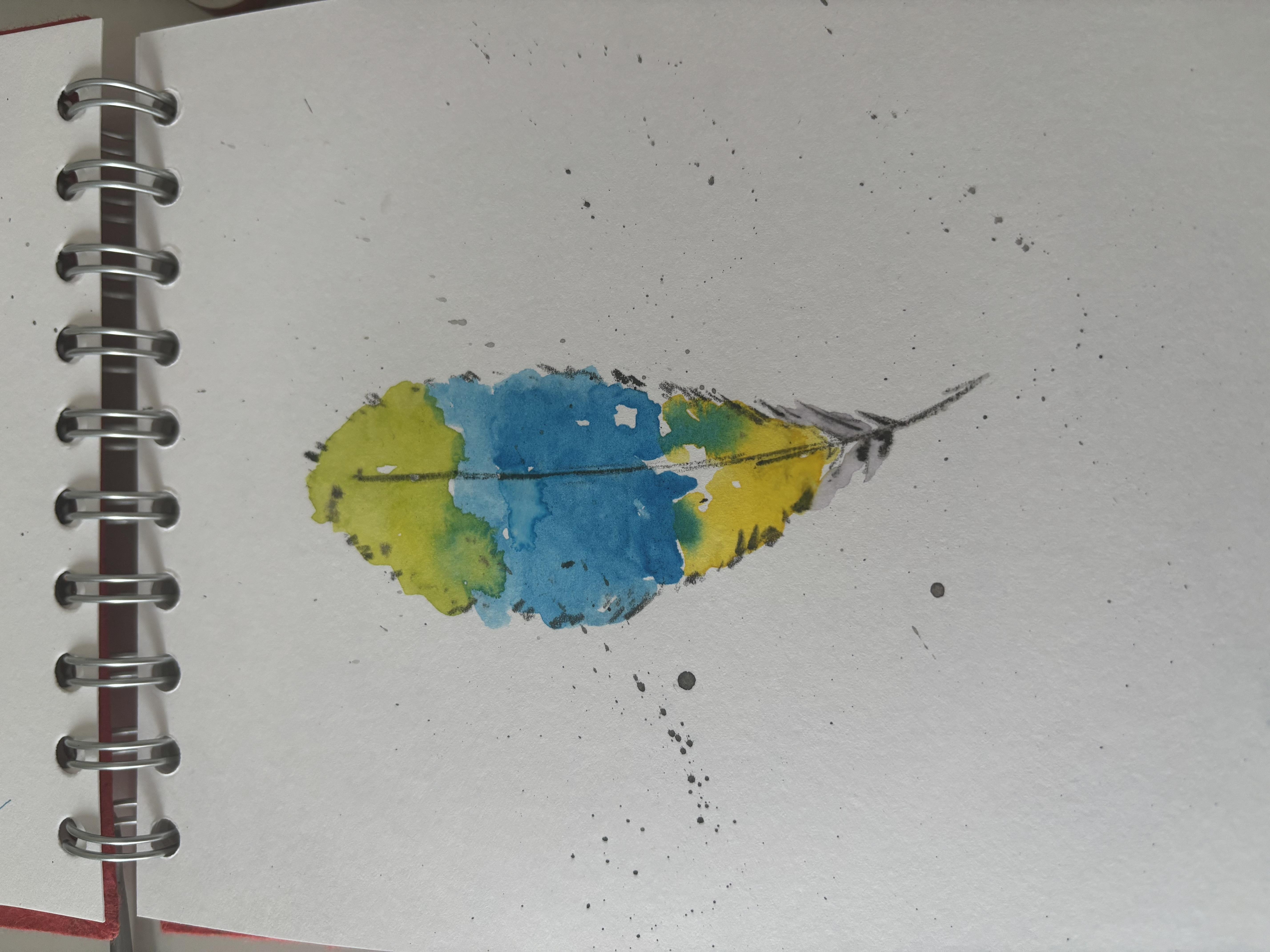 Feather practice - student project