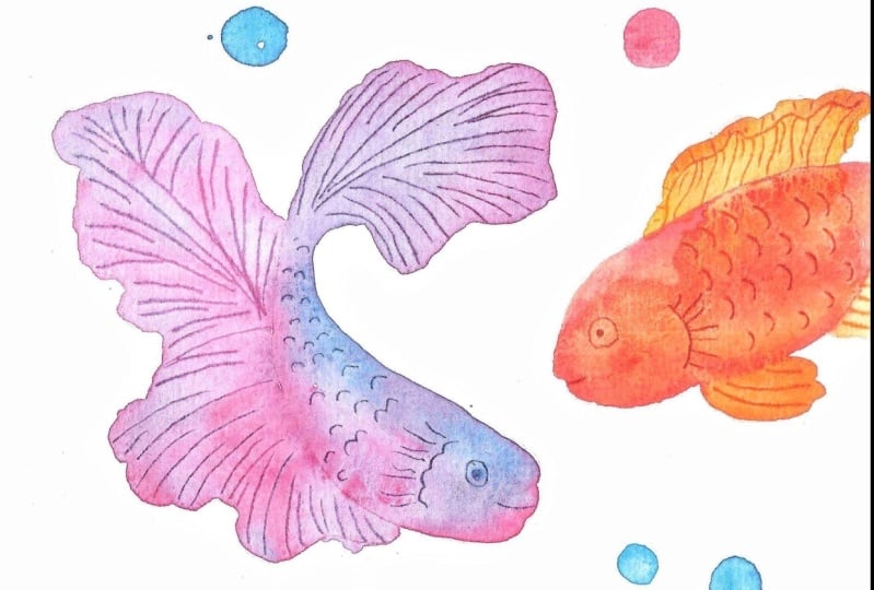 Fishies