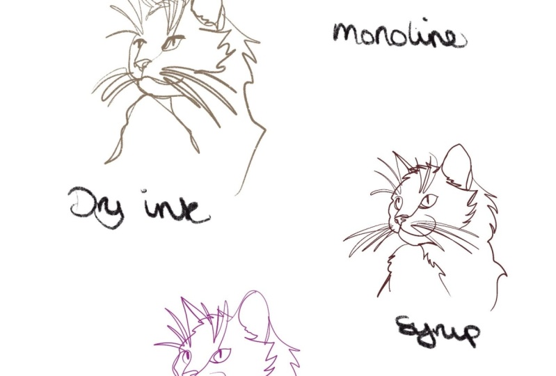 Cats cats cats