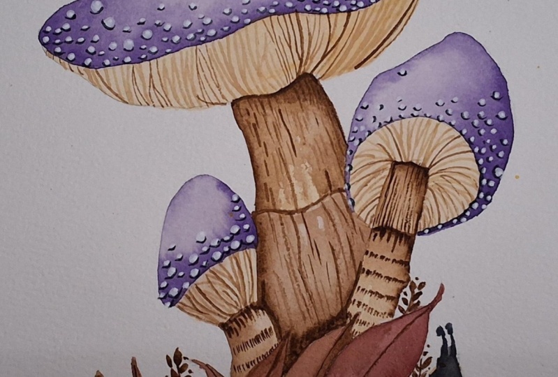 Mushrooms