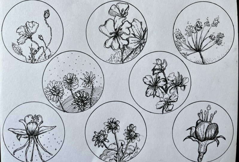 botanics