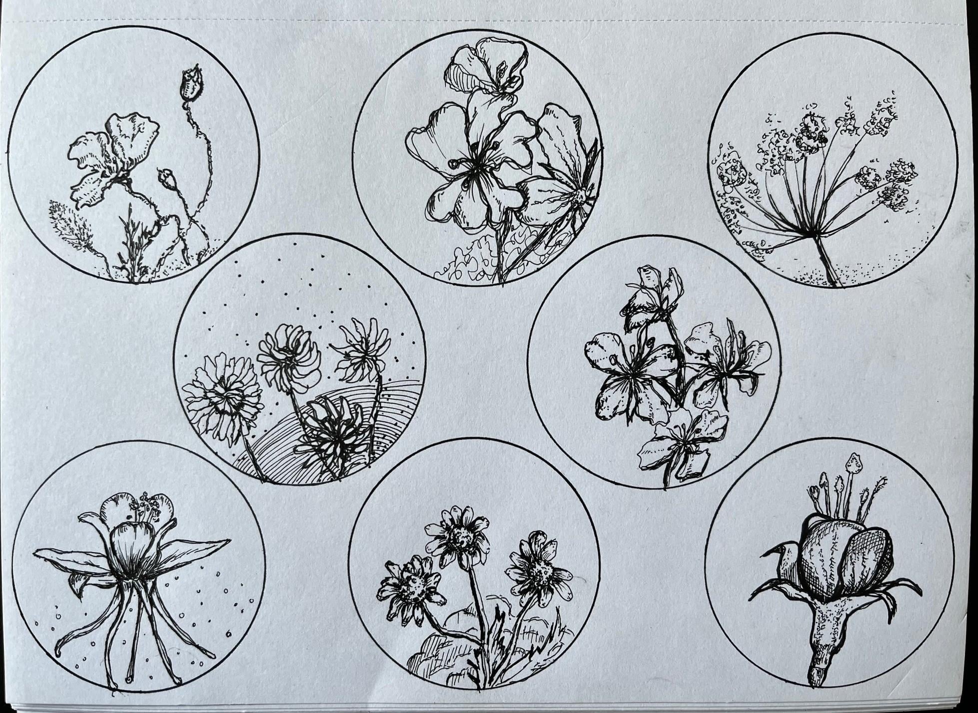 botanics - student project