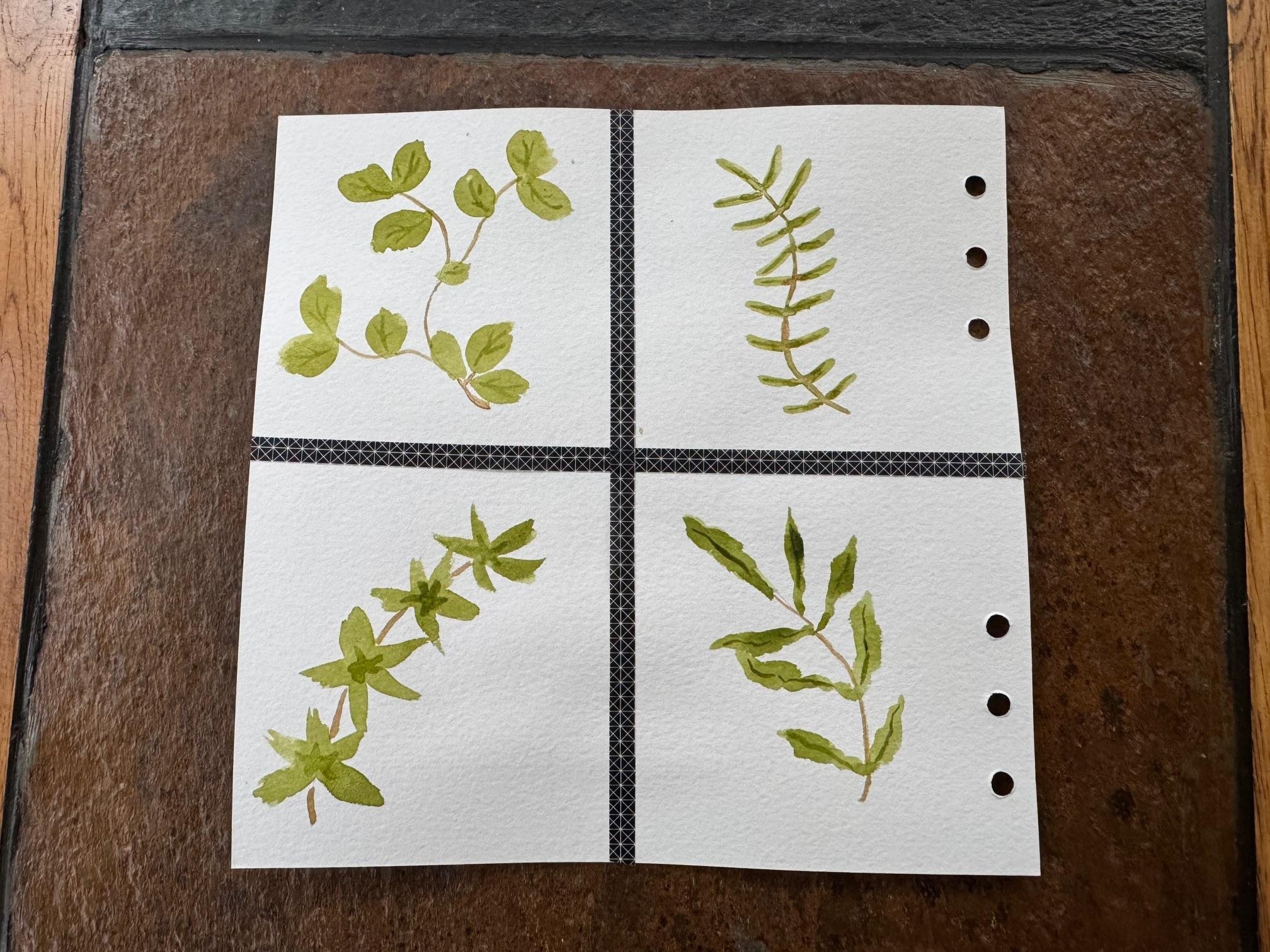 more-projects-from-class-img