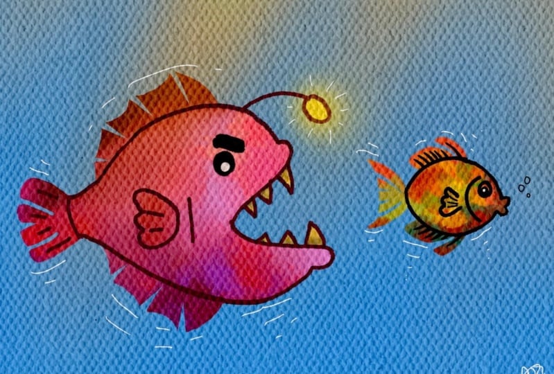 My fishes
