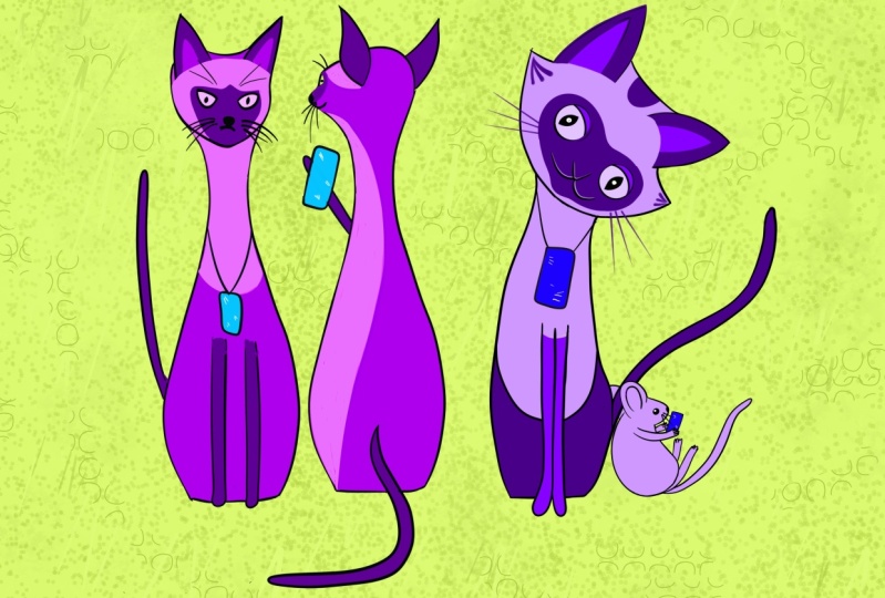 More cats