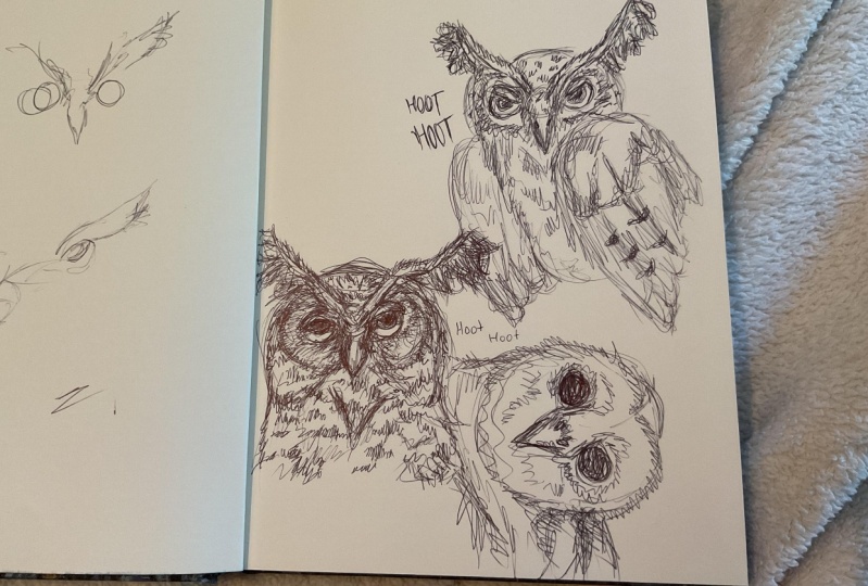 Owl doodles