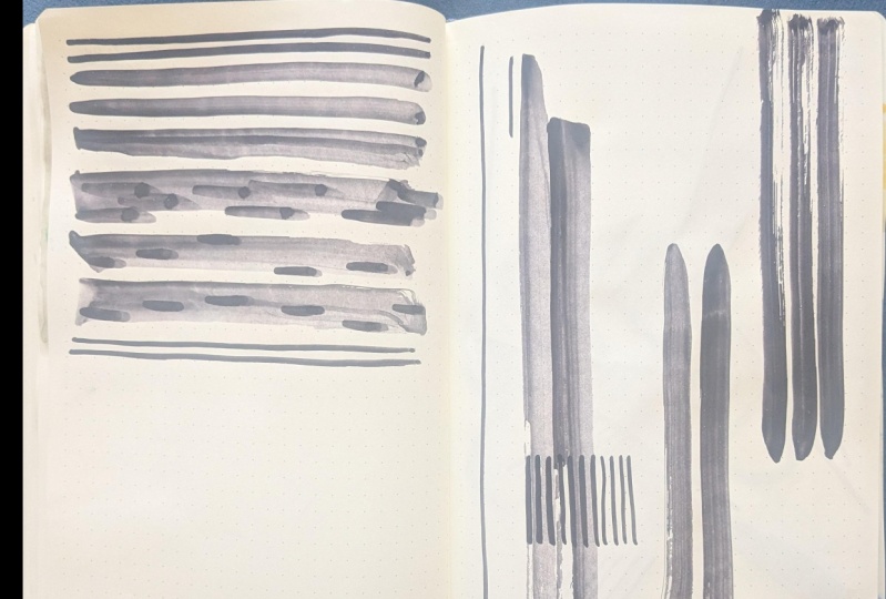 Exploring Lines