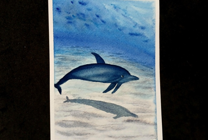 Ocean Dreams Dolphin