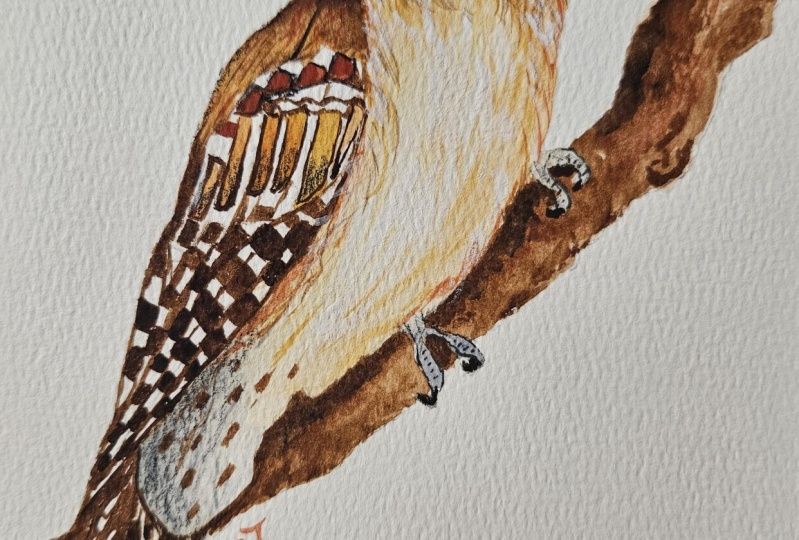 Little woodpecker