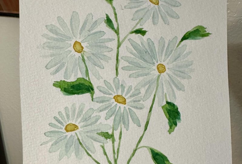 Chamomile Flowers