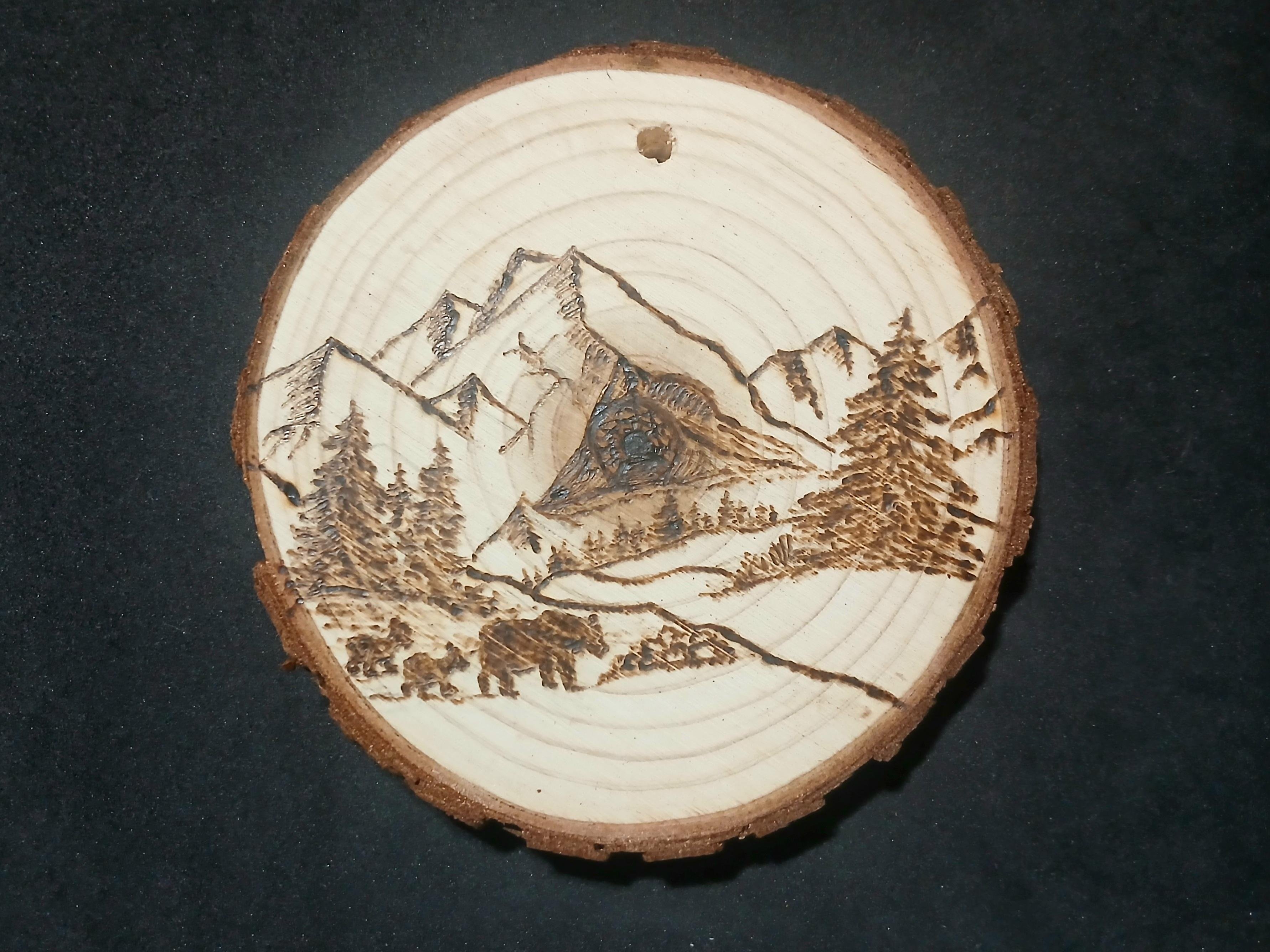Woodburning Skills - student project
