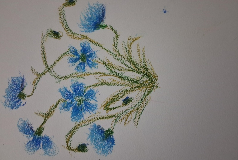 Cornflowers