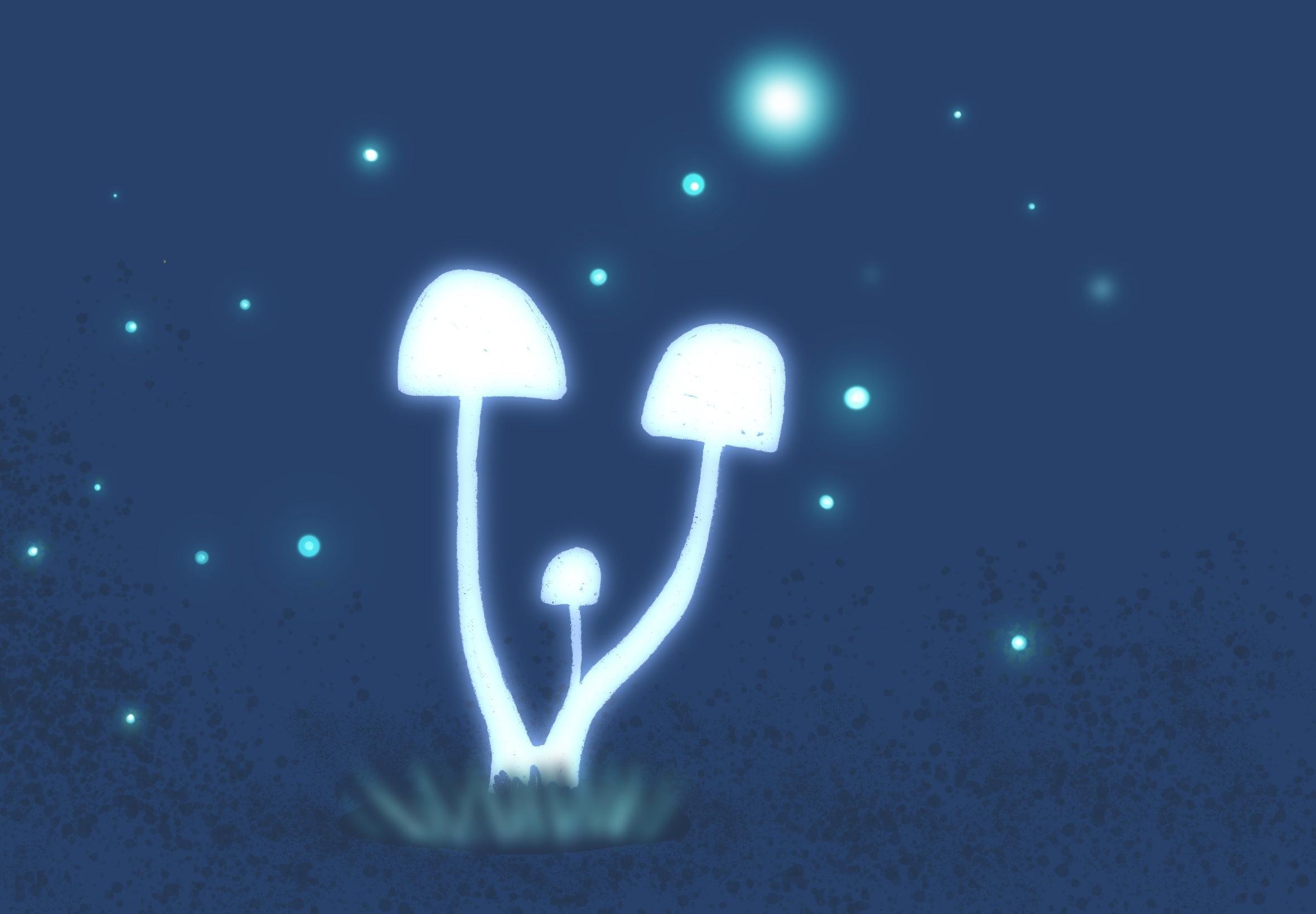 more-projects-from-class-img