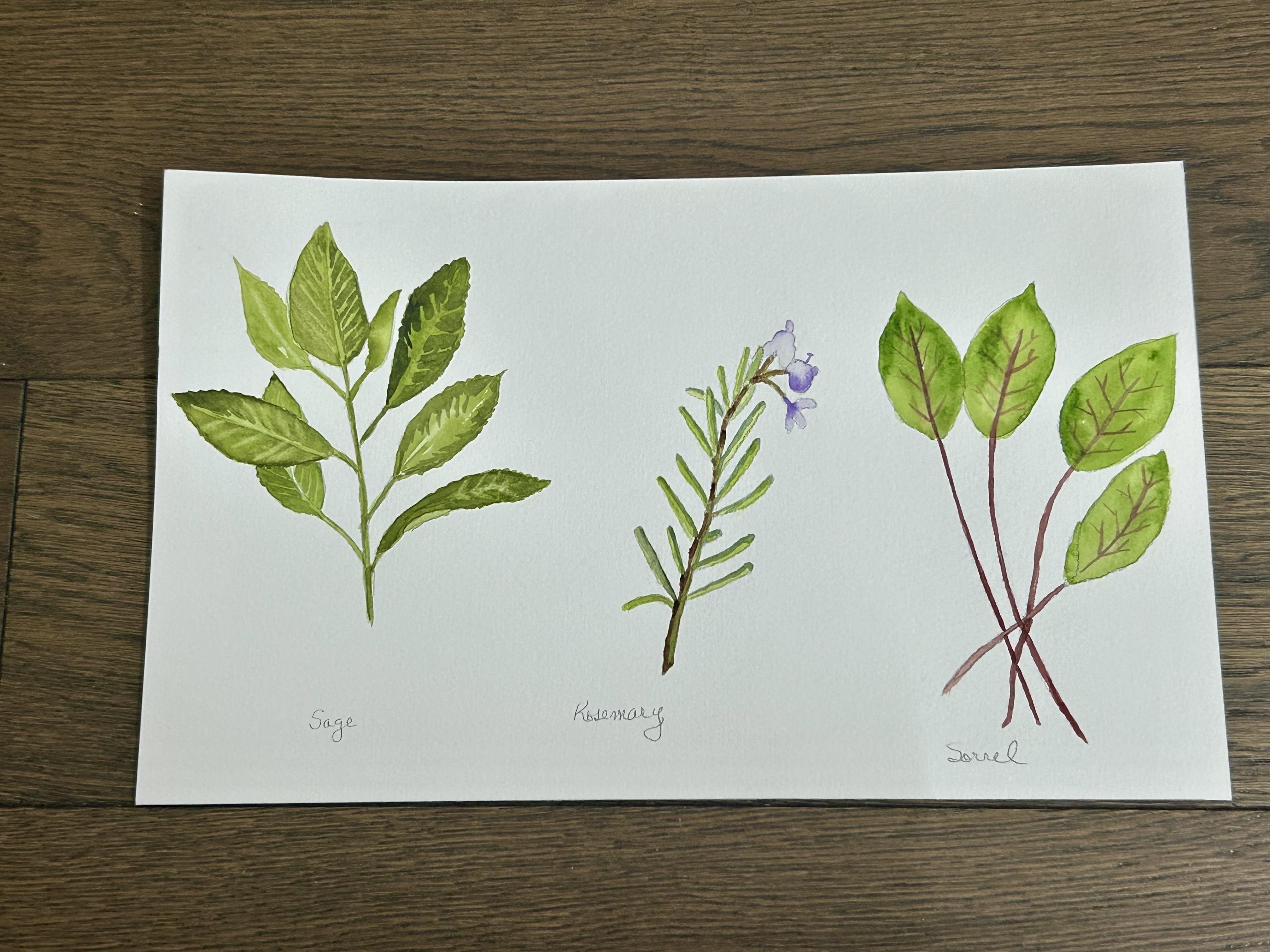 more-projects-from-class-img