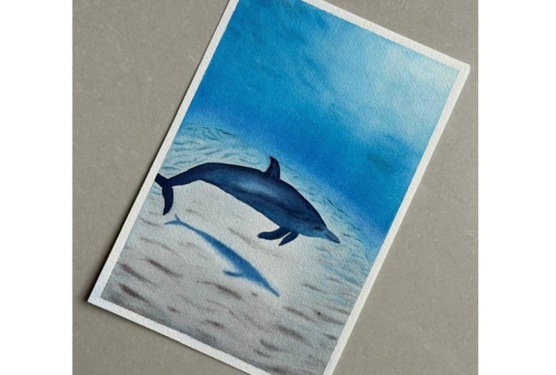 Paint a dolphin by the seabed