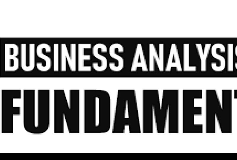 Business Analysis Fundamentals: An Introduction to Key Concepts and Methodologi