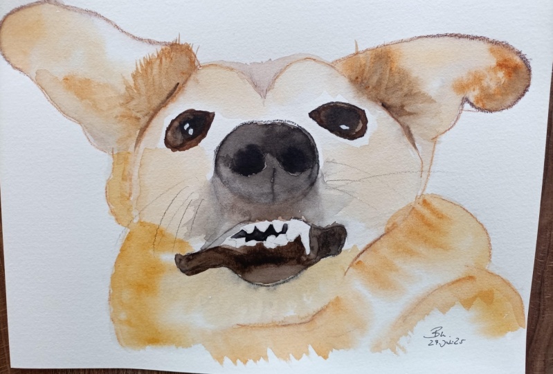 Pet Portrait