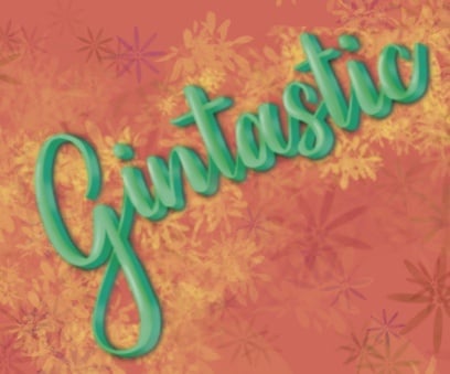 GINTASTIC - student project