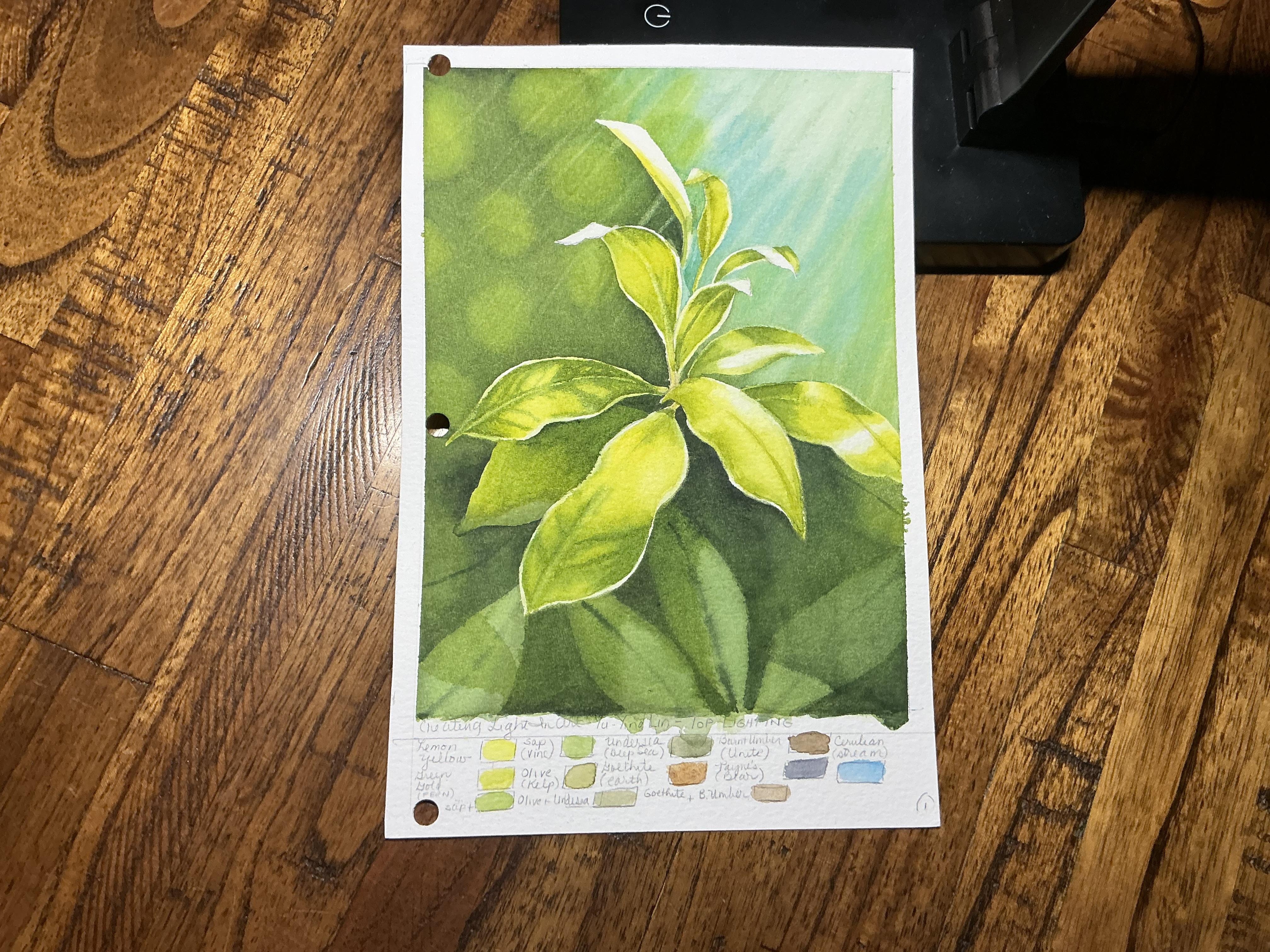 more-projects-from-class-img