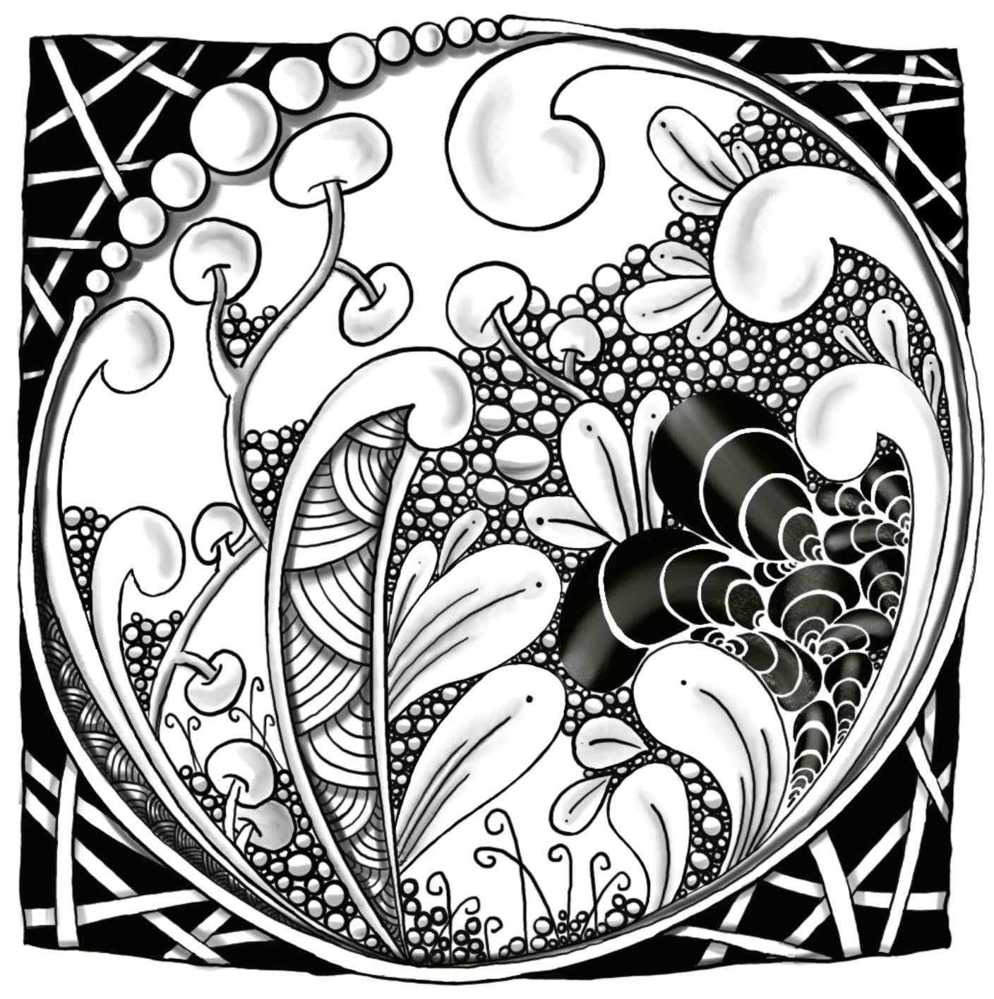 more-projects-from-class-img