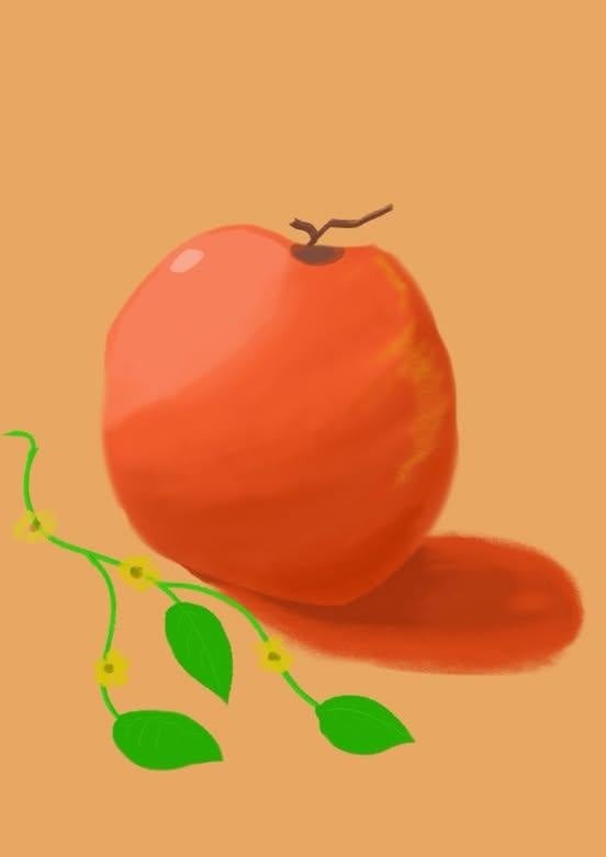more-projects-from-class-img