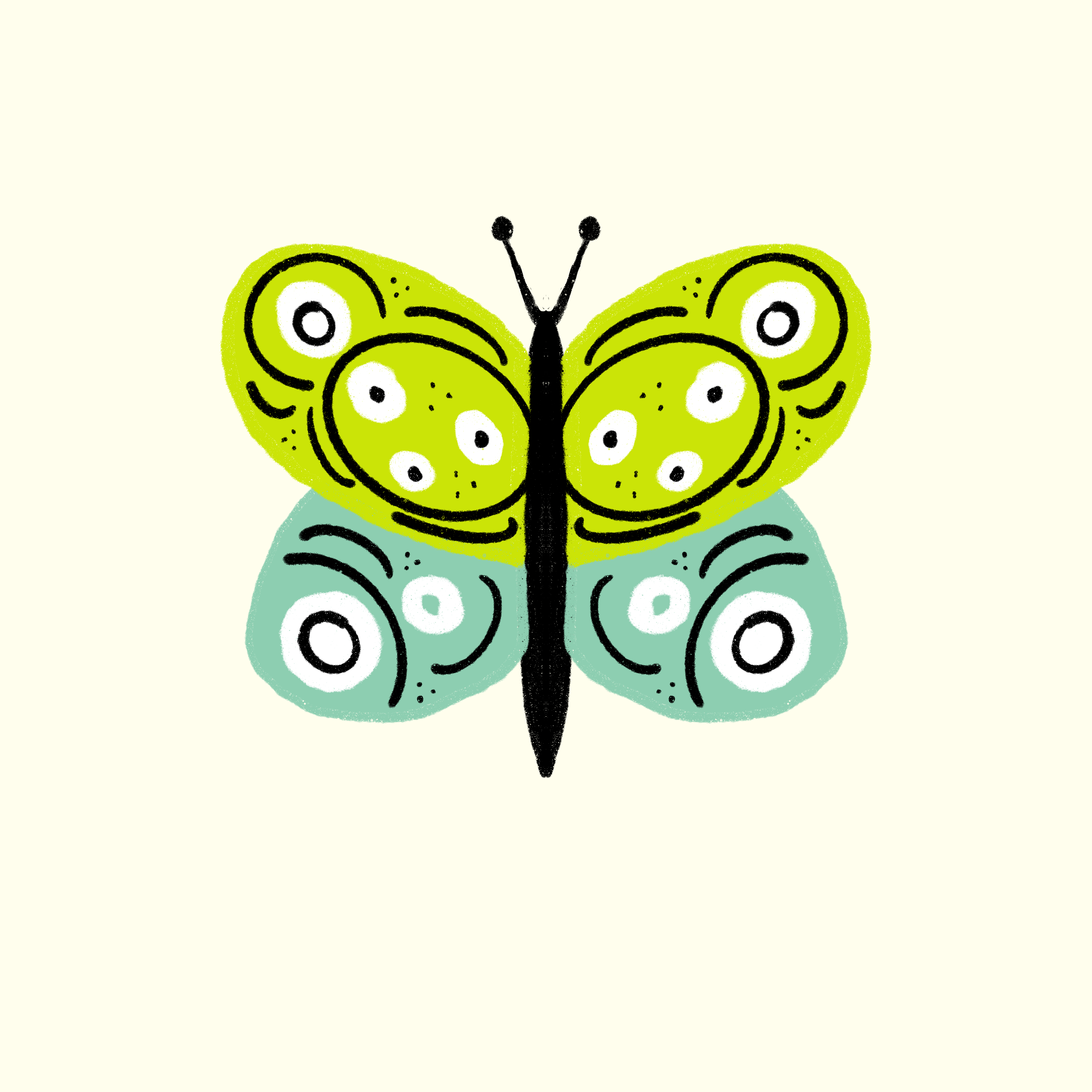 more-projects-from-class-img