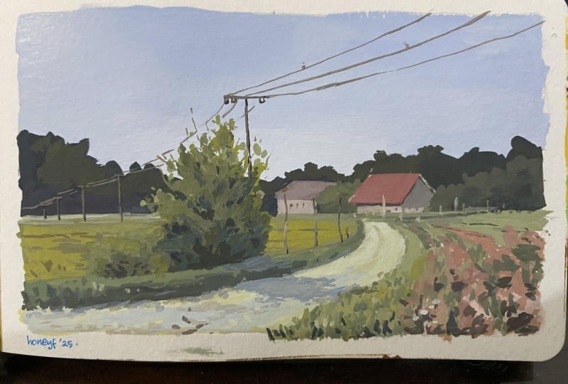 Landscape lesson