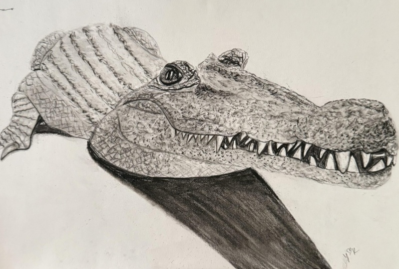 Croc
