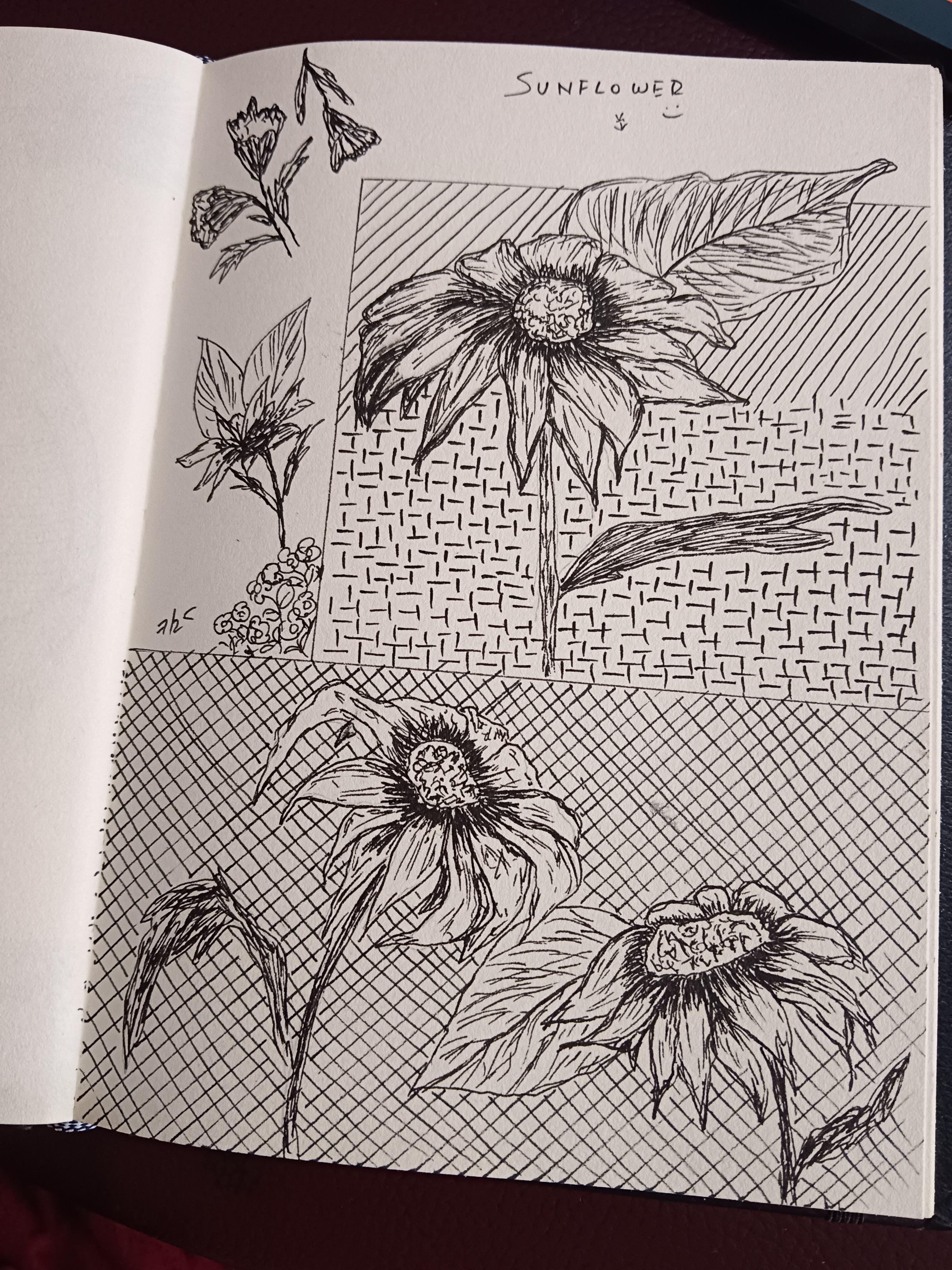 more-projects-from-class-img