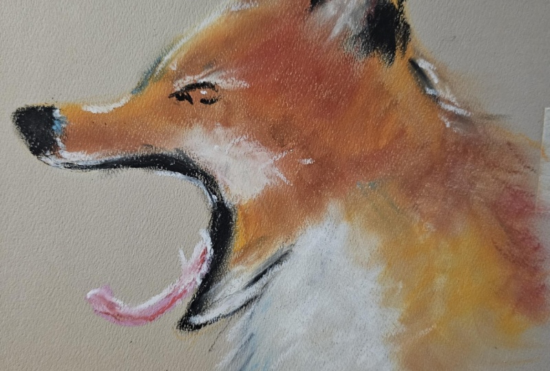 Oil pastels sketch of fox