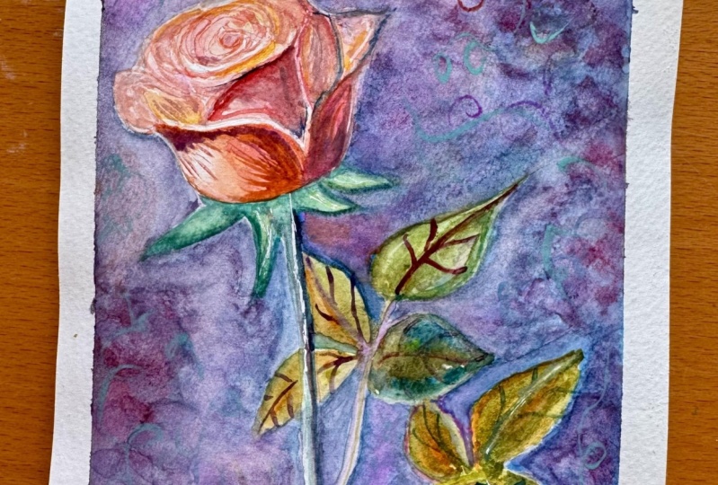 Color theory Rose