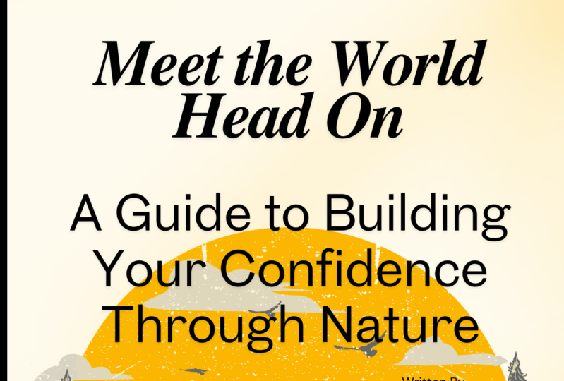 EBook