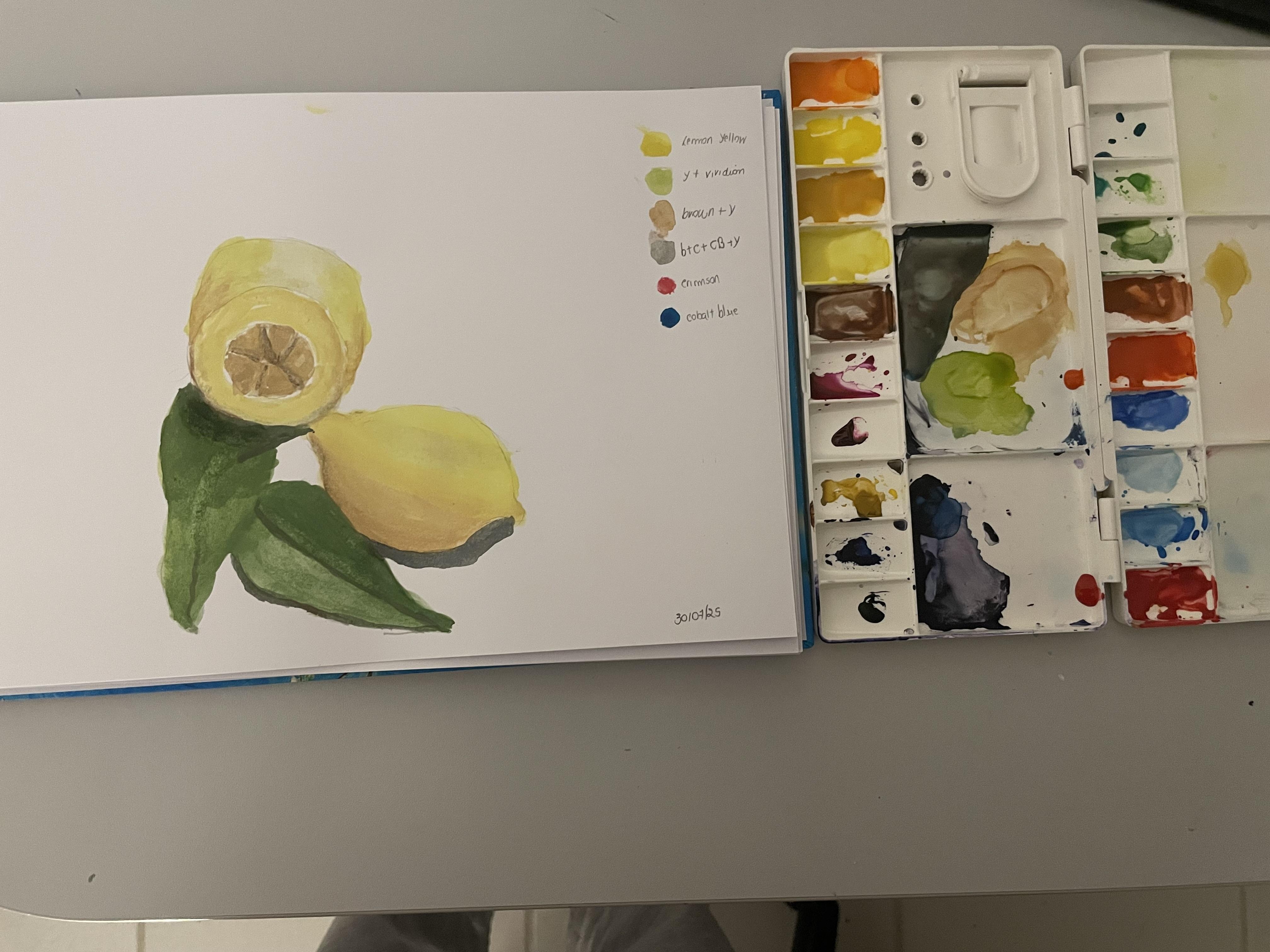 Lemons - student project